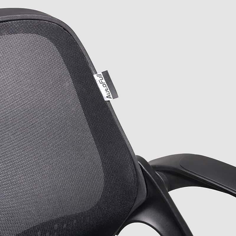 AutoFull Ergonomic Office Chair